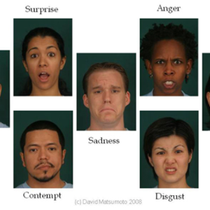 Expresiones faciales correspondientes a las emociones